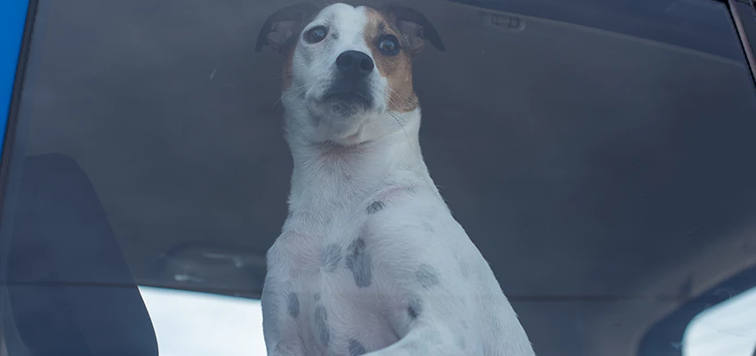 Car Lockout Solutions in Thousand Oaks, California